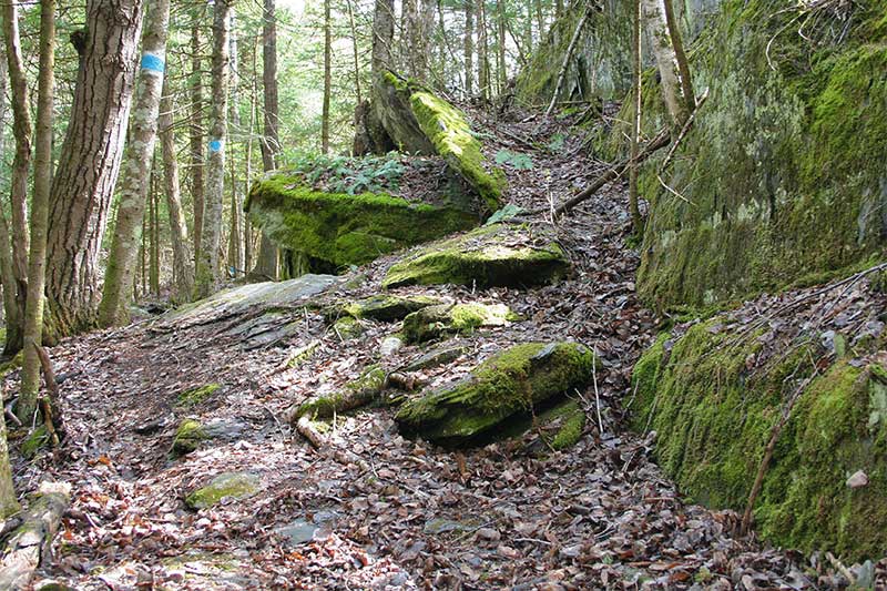 Sentiers de la Forêt habitée de Dudswell Comité tourisme Hautsaint
